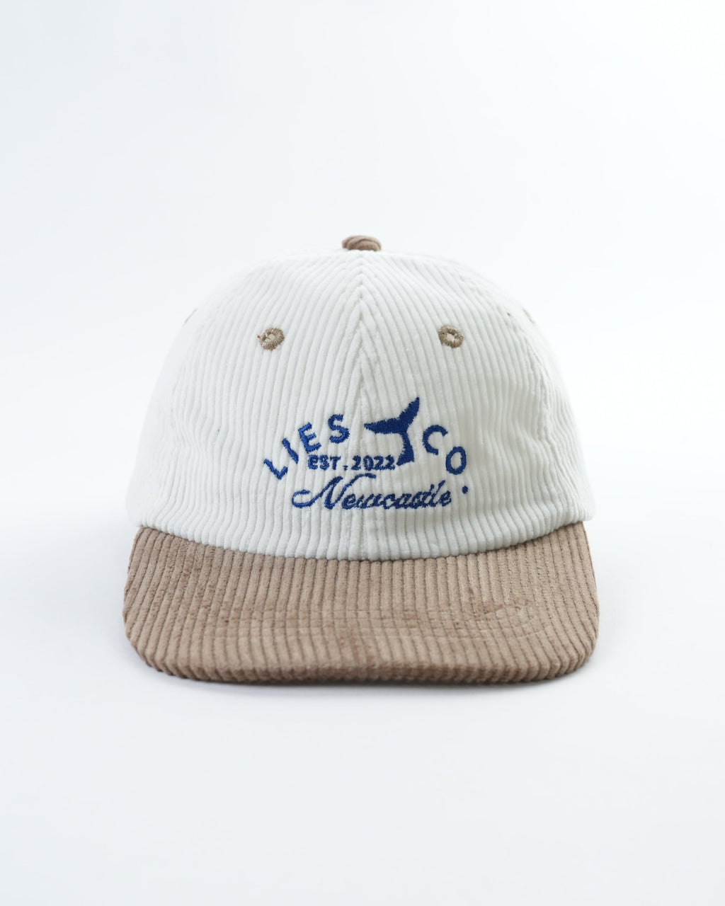 Whale Tail Mini Hat
