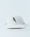 Rainbow Lorikeet Hat