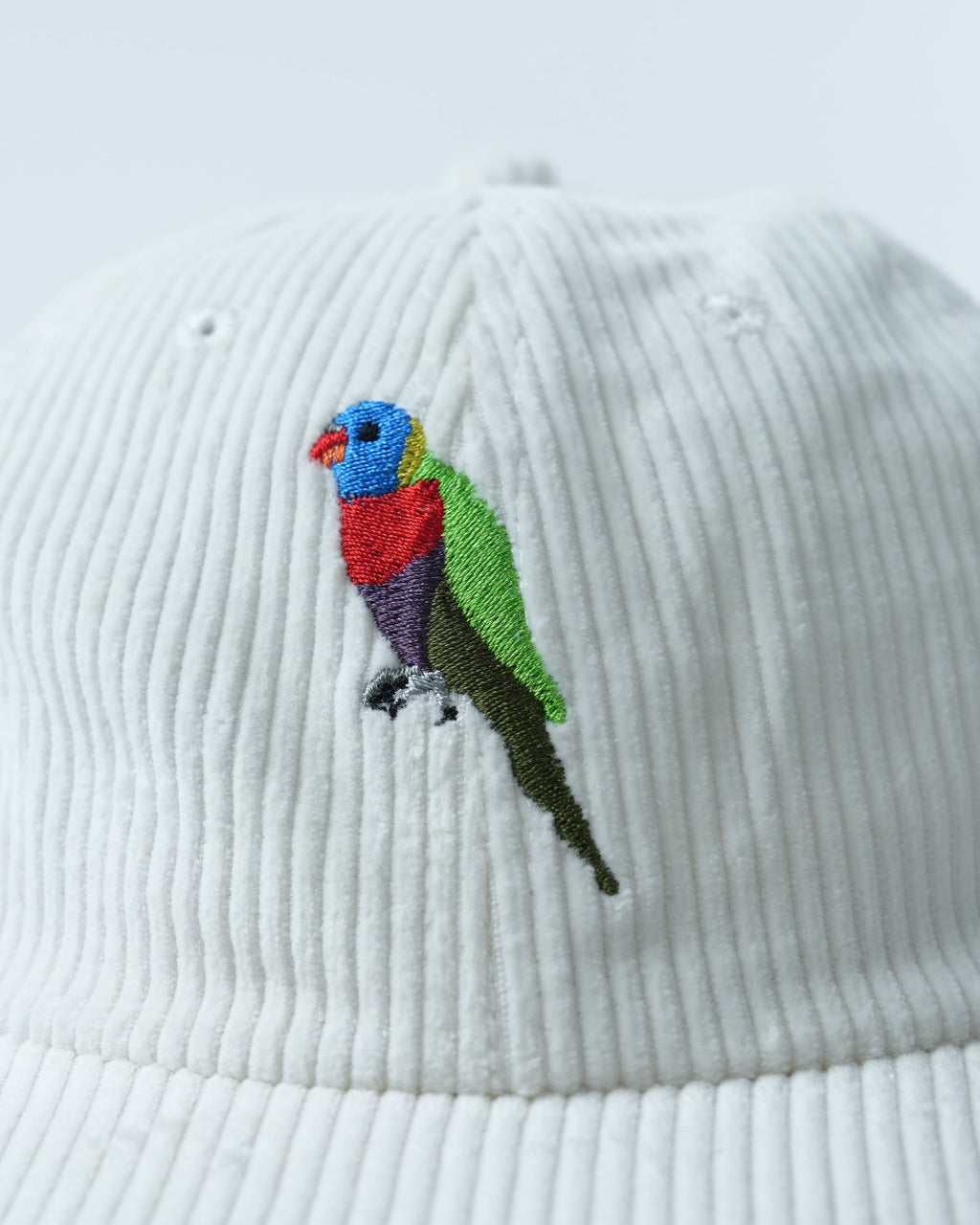 Rainbow Lorikeet Hat