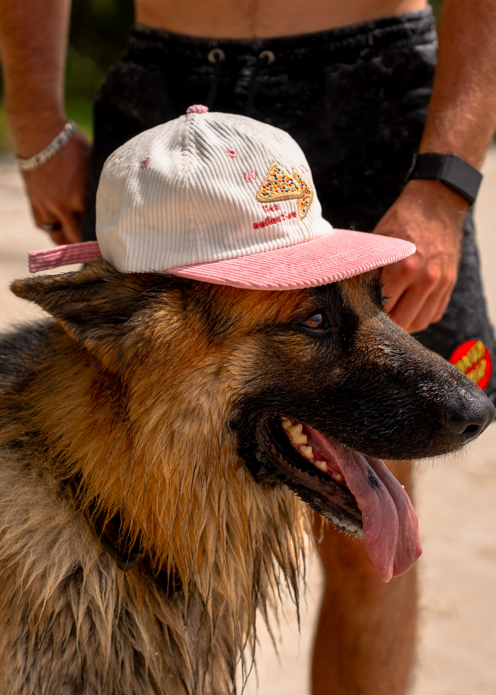 Iconic Fairy Bread Hat