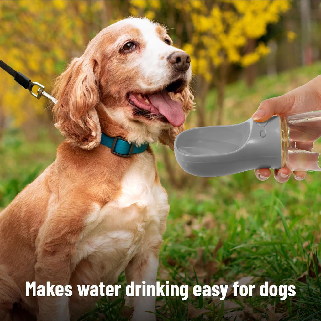 Portable Dog Water Bottle 19oz