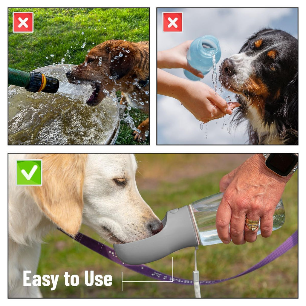 Portable Dog Water Bottle 19oz