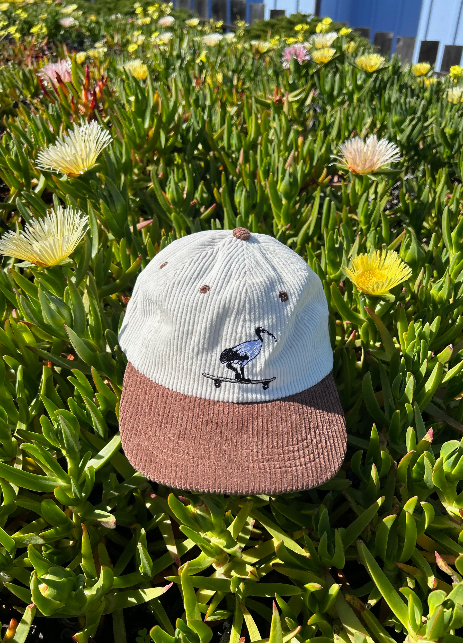 Bin Chicken Mini Hat