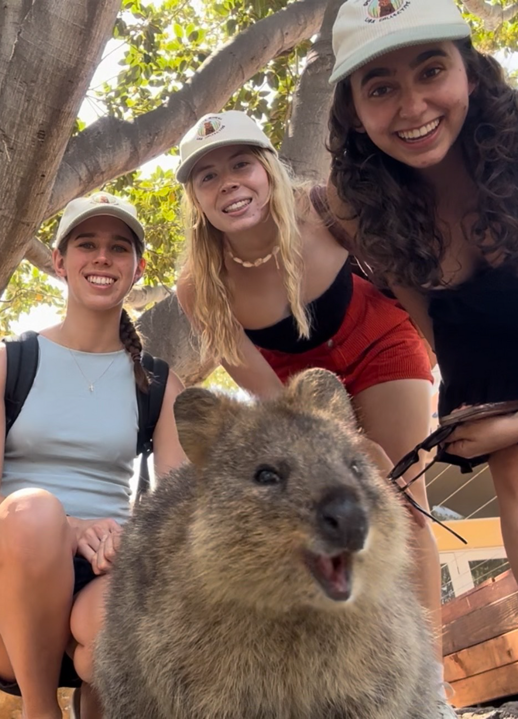 Smiling Quokka Hat